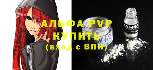стафф Богданович