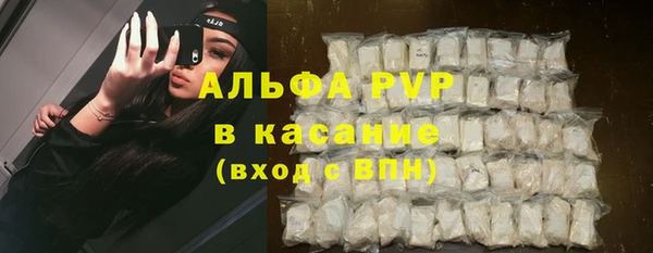 стафф Богданович