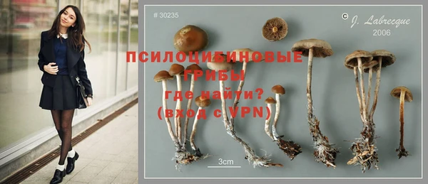 стафф Богданович