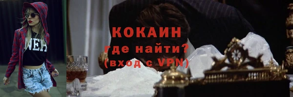 apvp Богородицк