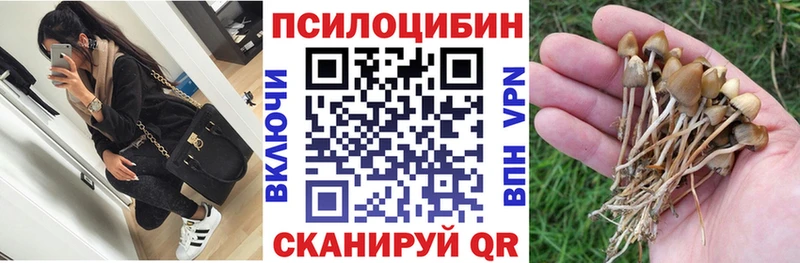Галлюциногенные грибы GOLDEN TEACHER  Духовщина 